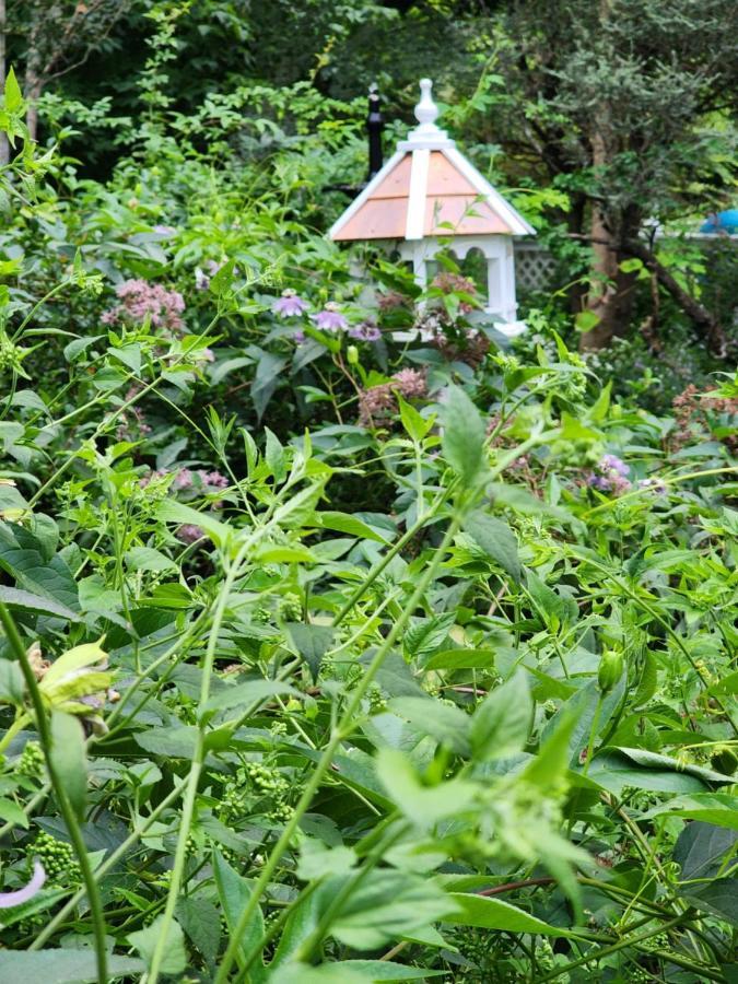 House Of 1833 Bed And Breakfast Mystic Bagian luar foto