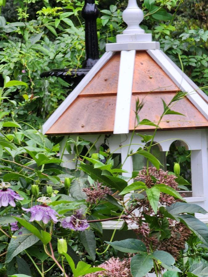 House Of 1833 Bed And Breakfast Mystic Bagian luar foto